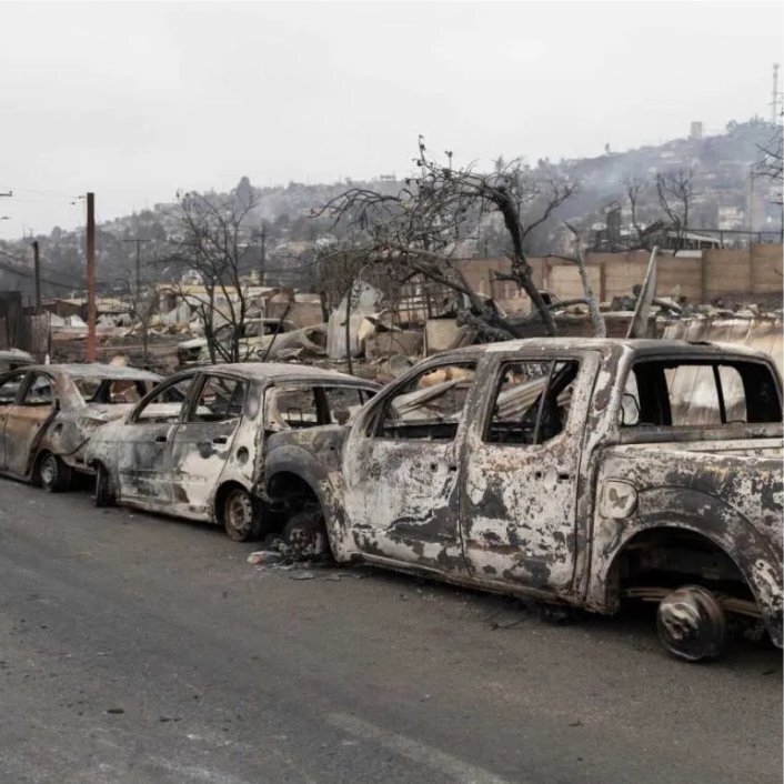 Shells of burned vehicles on the road with burned trees in the background after wildfire passed.